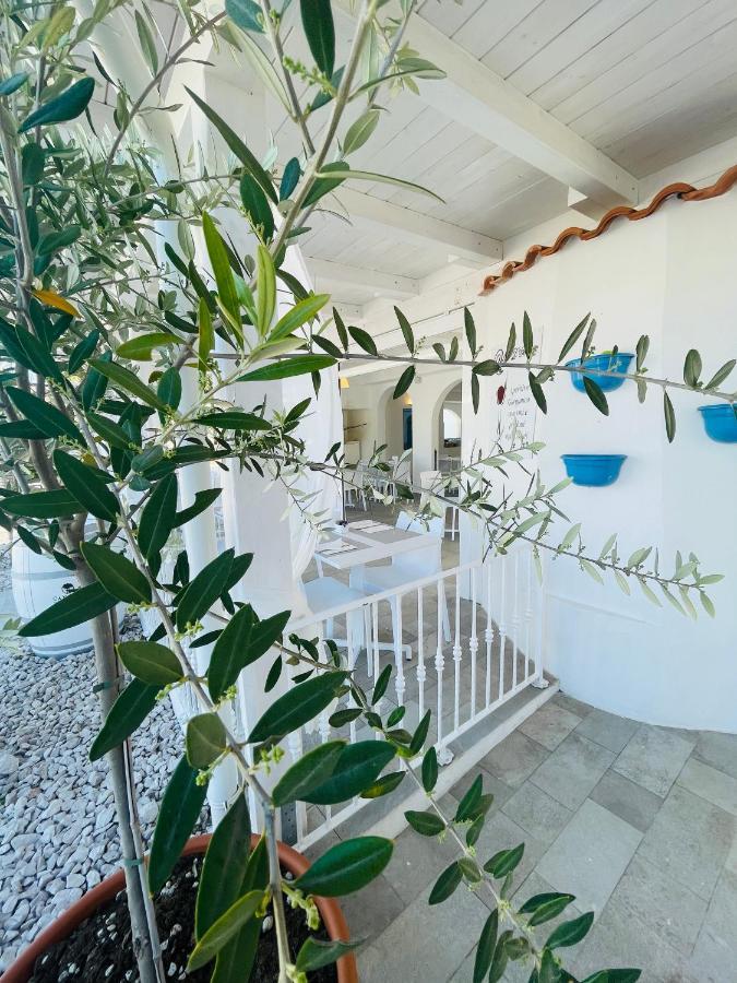 B&B Villa D'Amato 佩斯基奇 外观 照片